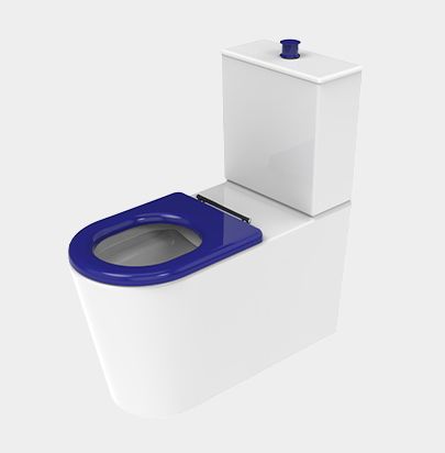 Cove Accessible Back-To-Wall Toilet Suite by VCBC